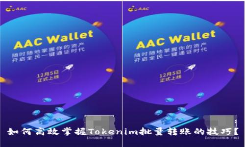 如何高效掌握Tokenim批量转账的技巧？