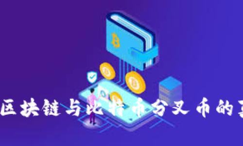 走出迷雾：区块链与比特币分叉币的真相与挑战