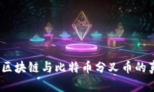 走出迷雾：区块链与比特币分叉币的真相与挑战