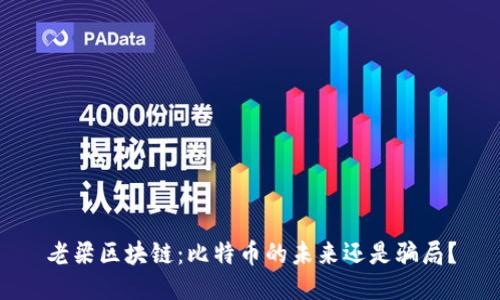 老梁区块链：比特币的未来还是骗局？