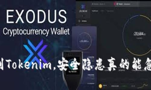 币提到Tokenim，安全隐患真的能忽视吗？