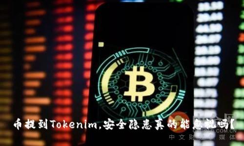 币提到Tokenim，安全隐患真的能忽视吗？