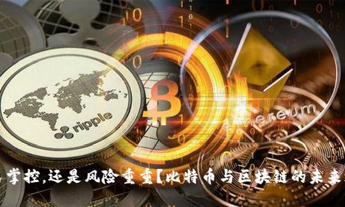全民掌控，还是风险重重？比特币与区块链的未来之争