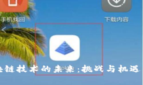区块链技术的未来：挑战与机遇并存