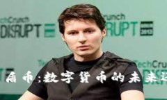 区块链灵盾币：数字货币的未来还是泡沫？