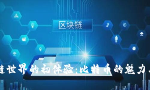 区块链世界的初体验：比特币的魅力与挑战