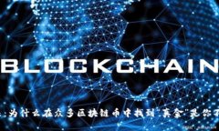: 选择你的未来：为什么在众多区块链币中找到“