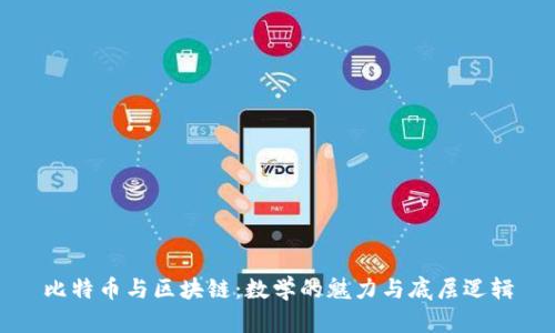 比特币与区块链：数学的魅力与底层逻辑