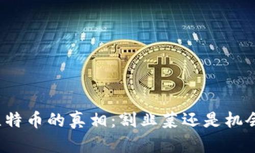 比特币的真相：割韭菜还是机会？