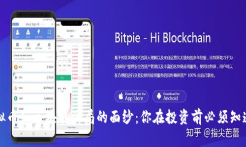揭开虚拟币和区块链骗局的面纱：你在投资前必须知道的真相