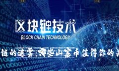 : 揭开区块链的迷雾：哪些山寨币值得你的关注与