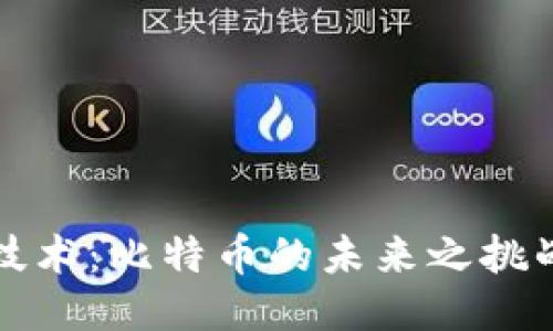 区块链技术：比特币的未来之挑战与机遇