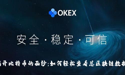 揭开比特币的面纱：如何轻松查看总区块链数据？