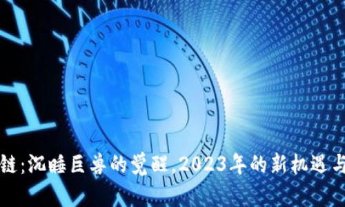 区块链：沉睡巨兽的觉醒，2023年的新机遇与挑战