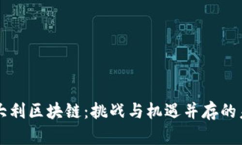 意大利区块链：挑战与机遇并存的未来