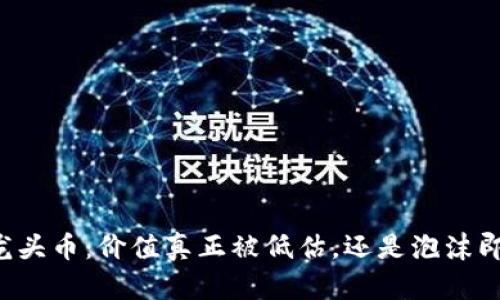 区块链龙头币：价值真正被低估，还是泡沫即将破灭？