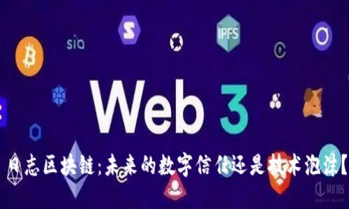 日志区块链：未来的数字信任还是技术泡沫？