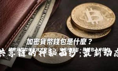 揭开区块链共享链的神秘面纱：最新动态与未来挑战