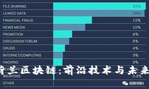 探索荷兰区块链：前沿技术与未来挑战！