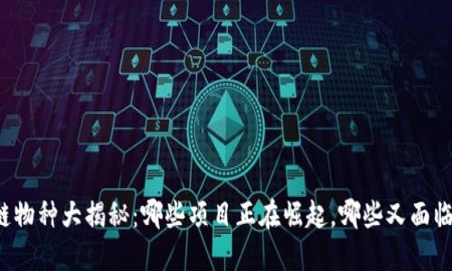 区块链物种大揭秘：哪些项目正在崛起，哪些又面临淘汰？