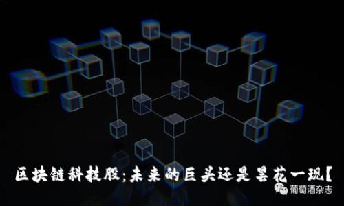 区块链科技股：未来的巨头还是昙花一现？