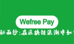 揭开币盛网的神秘面纱：在区块链浪潮中如何保
