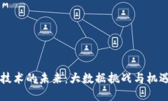 区块链技术的未来：大数据挑战与机遇的较量