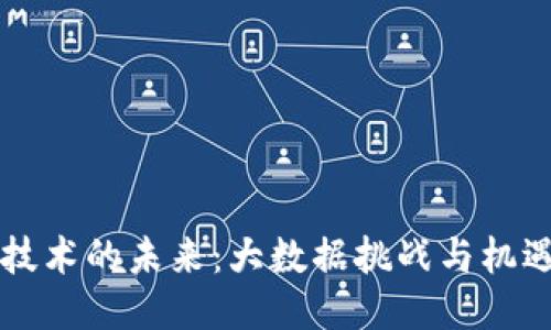 区块链技术的未来：大数据挑战与机遇的较量