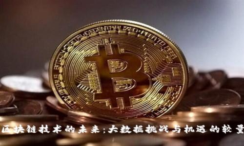 区块链技术的未来：大数据挑战与机遇的较量