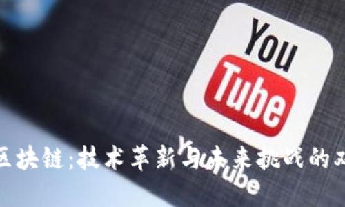 蚂蚁区块链：技术革新与未来挑战的双重奏