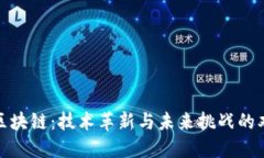 蚂蚁区块链：技术革新与未来挑战的双重奏