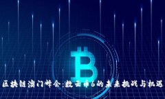 区块链澳门峰会：数云币6的未来挑战与机遇