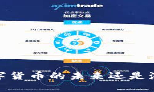 比特币：数字货币的未来还是泡沫的产物？