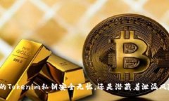 你的Tokenim私钥安全无忧，还是潜藏着泄漏风险？