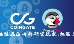 比特币区块链在国内的研究现状：机遇与挑战并