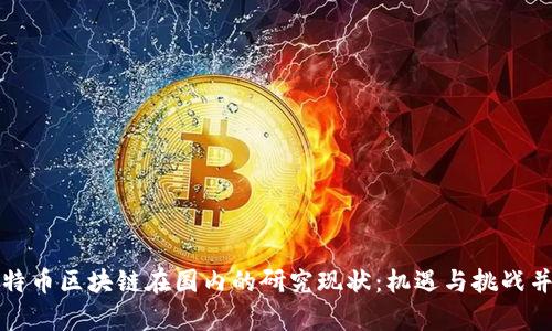比特币区块链在国内的研究现状：机遇与挑战并存