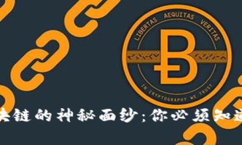 揭开比特币区块链的神秘面纱：你必须知道的真相与挑战