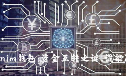 TP钱包与Tokenim钱包：资金互转之谜，谁能赢得你的信任？