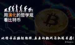 比特币区块链膨胀，未来的挑战与机遇并存！