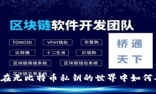 Tokenim：在无比特币私钥的世界中如何确保安全？